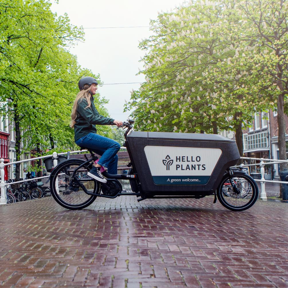 Cargo bike delivering plants on a bridge