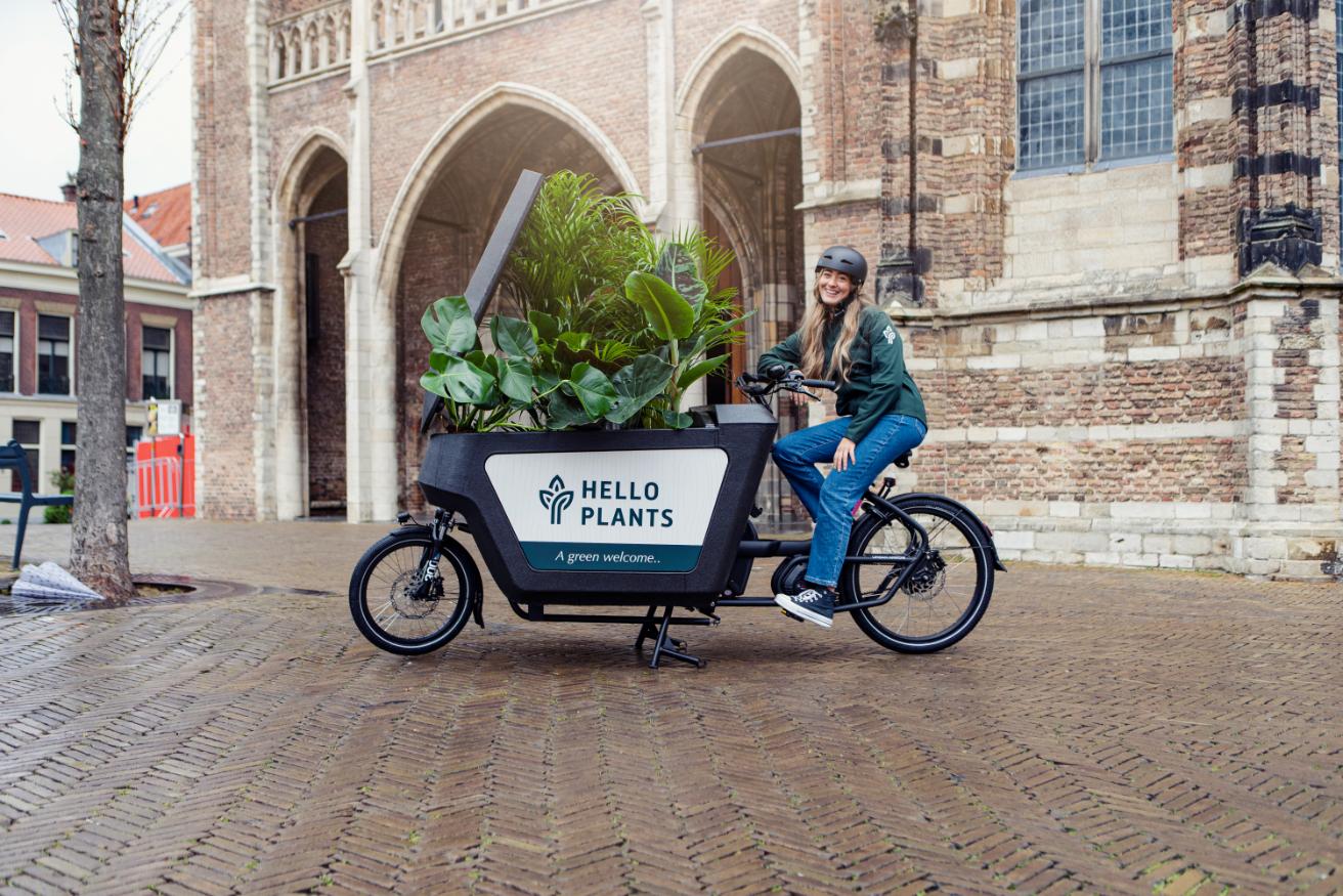 Cargo bike with plants in the city