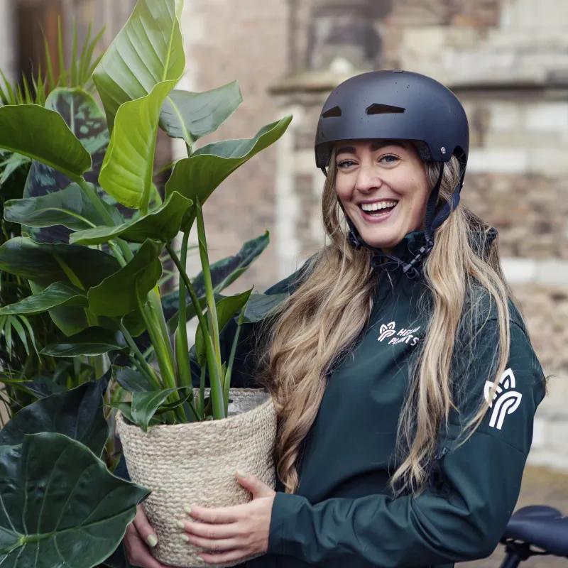 A courier delivering a large green plant