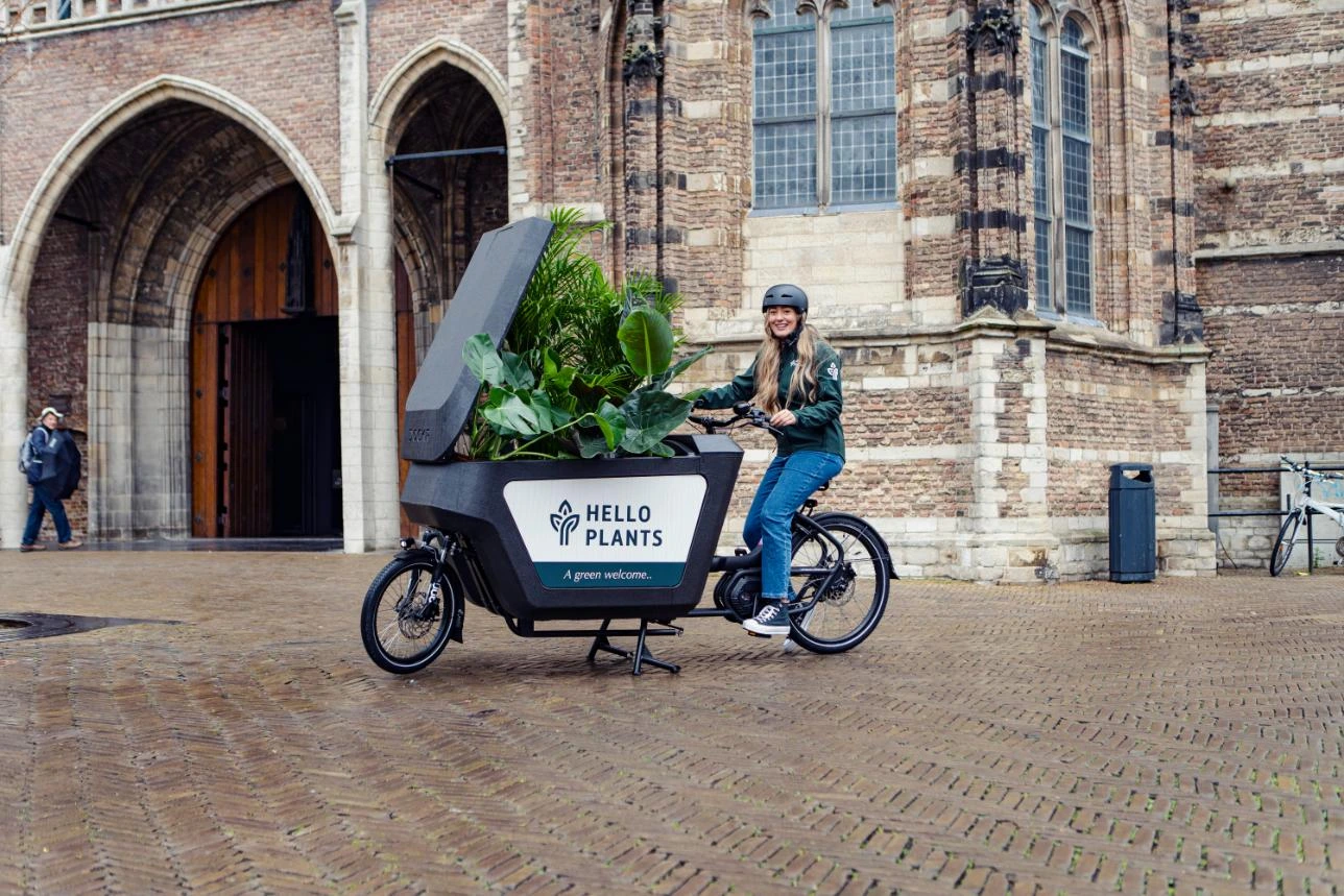 Courier delivering plants by cargo bike